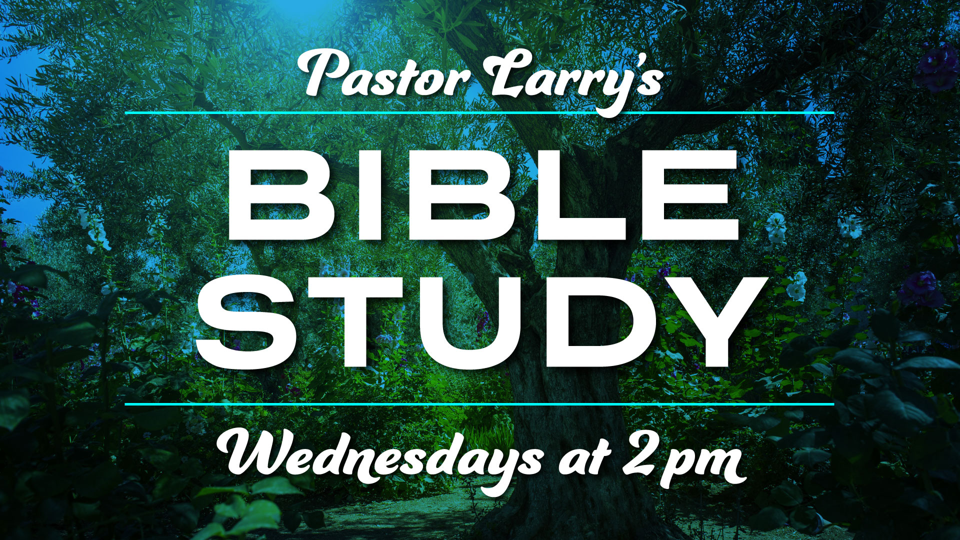 Pastor Larry's Wednesday Bible Study Pastor Larry's Wednesday Bible Study