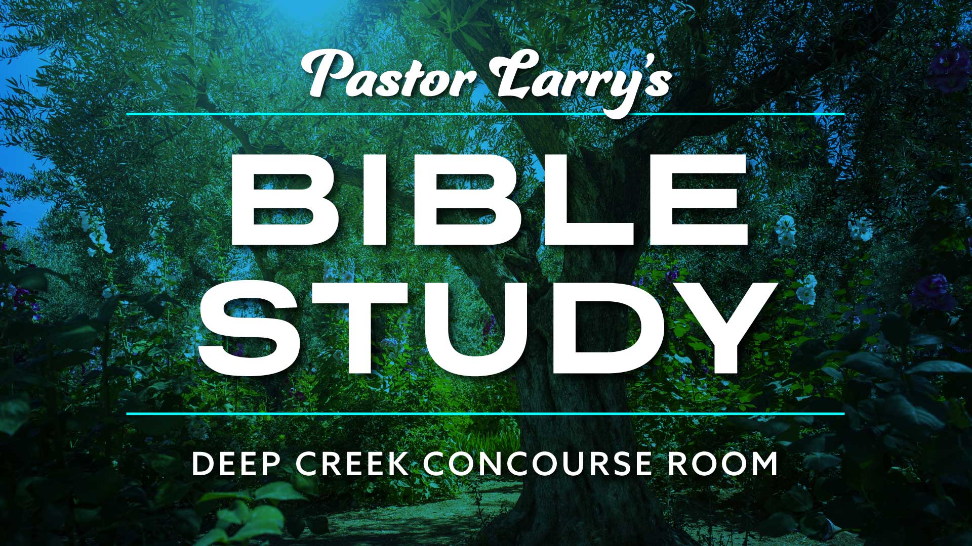 Bible Study at Deep Creek Bible Study at Deep Creek