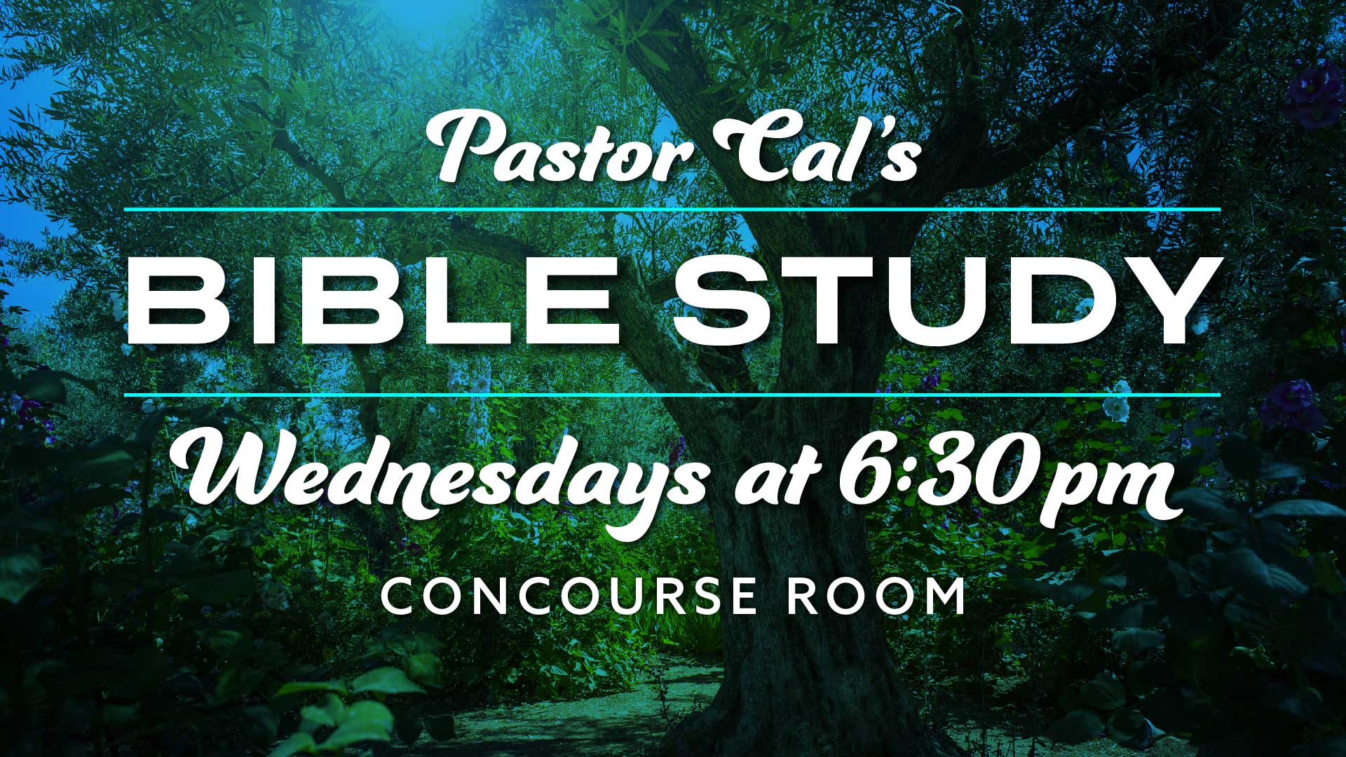 Pastor Cal's Wednesday Night Bible Study