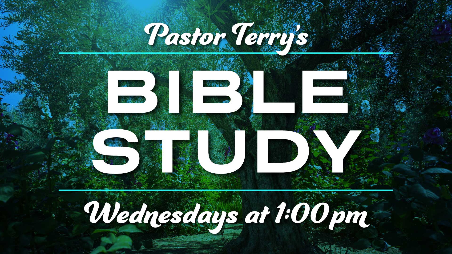 Wednesday Afternoon Bible Study with Pastor Terry